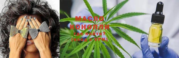 хмурый Абаза