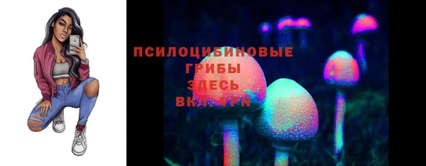 хмурый Абаза