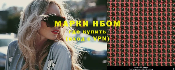 гашик Кулебаки