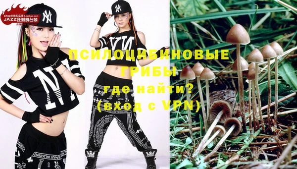 крисы Куйбышев