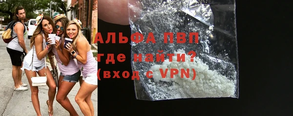 хмурый Абаза